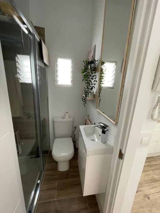 شقة Atico Duplex Con Terraza En Pleno Centro De Jerez جيريز المظهر الخارجي الصورة